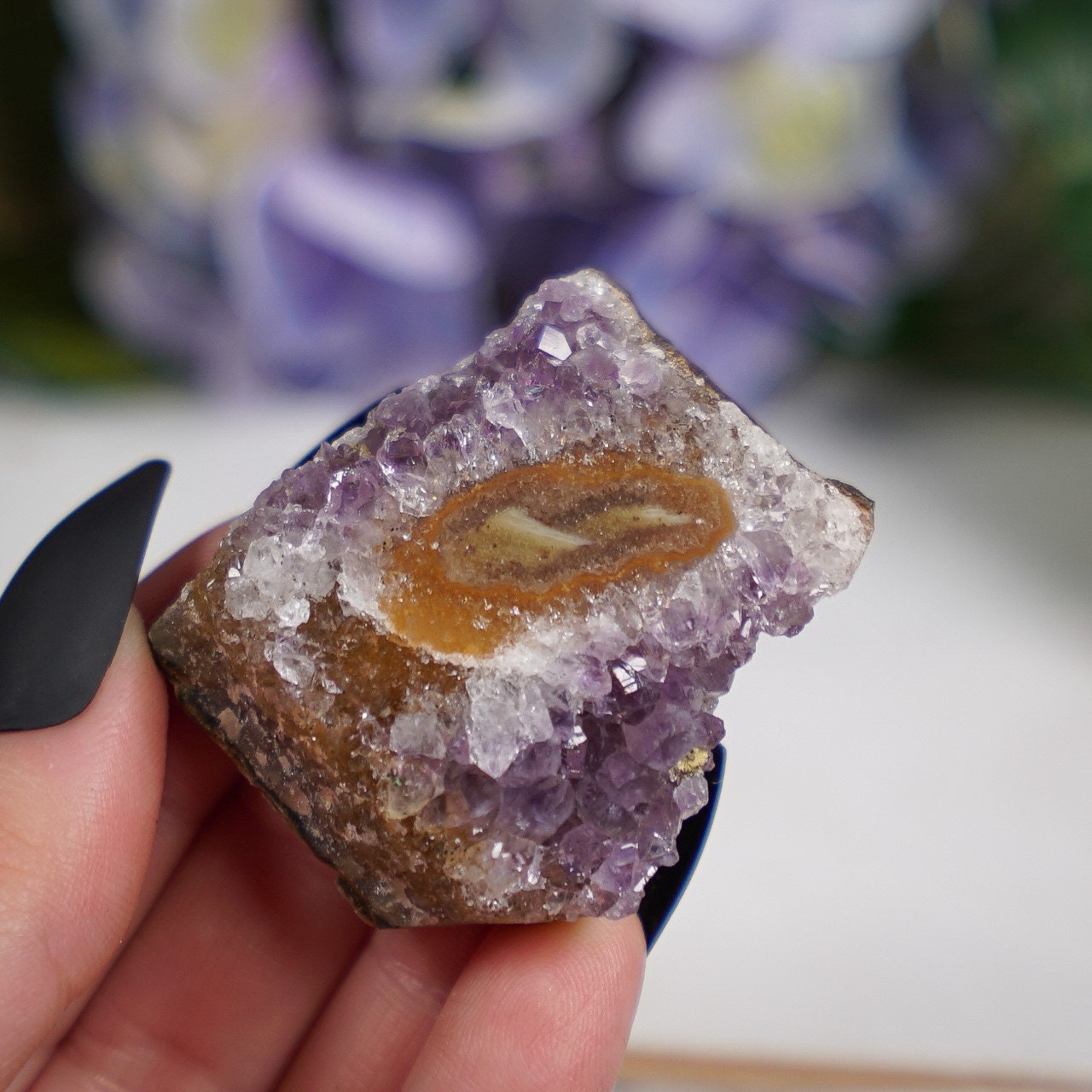 Purple Sepia Amethyst Eye