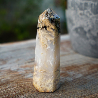 Tiger Dendritic Agate Tower