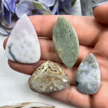 Orbicular Ocean Jasper Cabochons