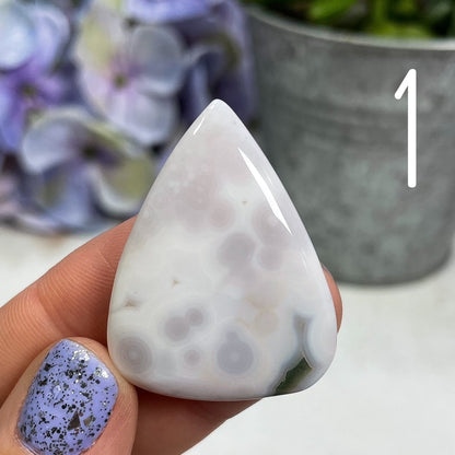Orbicular Ocean Jasper Cabochons