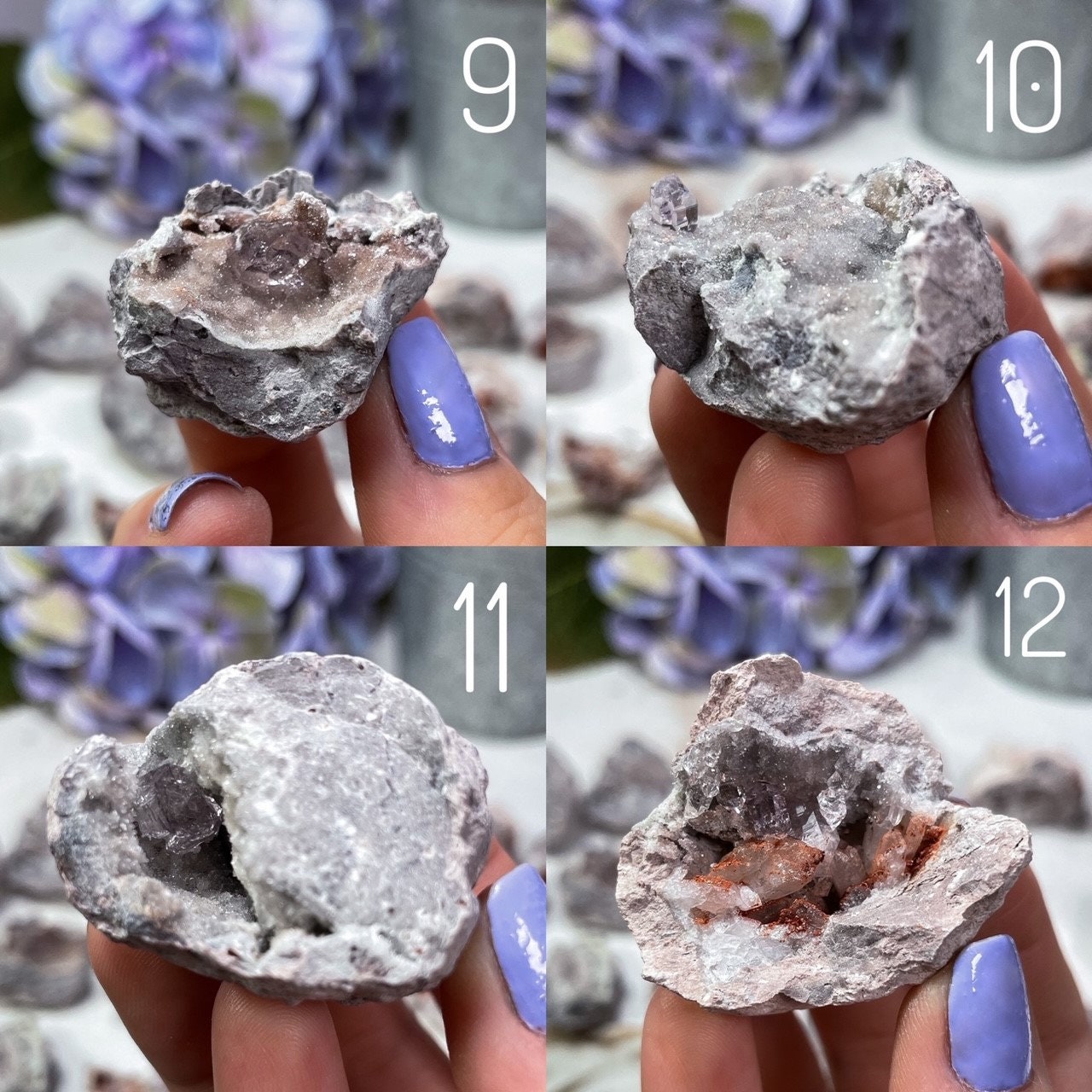 Mini Vera Cruz Amethyst Geodes