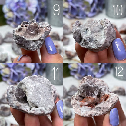 Mini Vera Cruz Amethyst Geodes