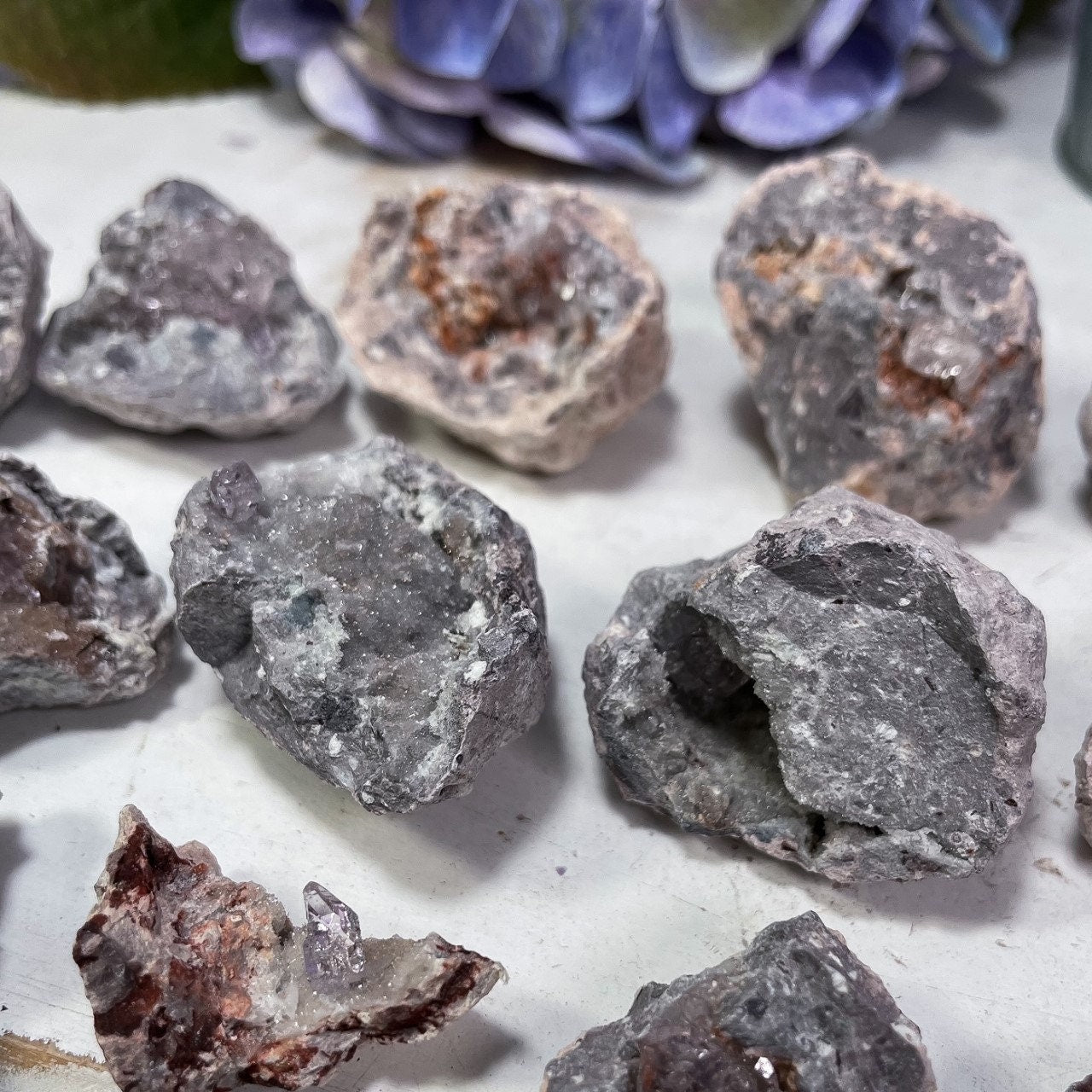 Mini Vera Cruz Amethyst Geodes