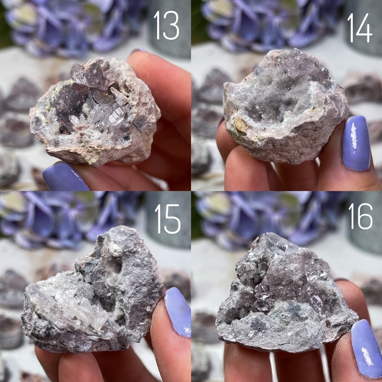 Mini Vera Cruz Amethyst Geodes