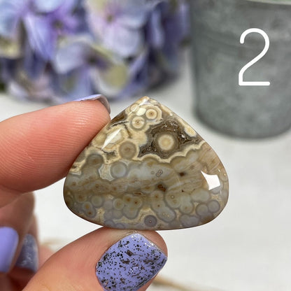 Orbicular Ocean Jasper Cabochons