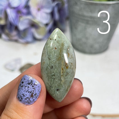 Orbicular Ocean Jasper Cabochons