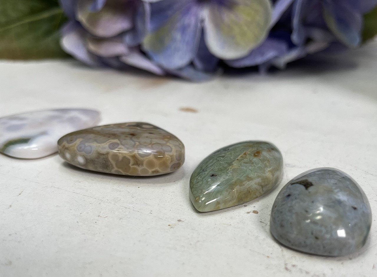 Orbicular Ocean Jasper Cabochons