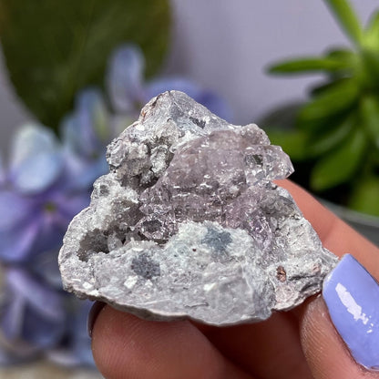 Mini Vera Cruz Amethyst Geodes
