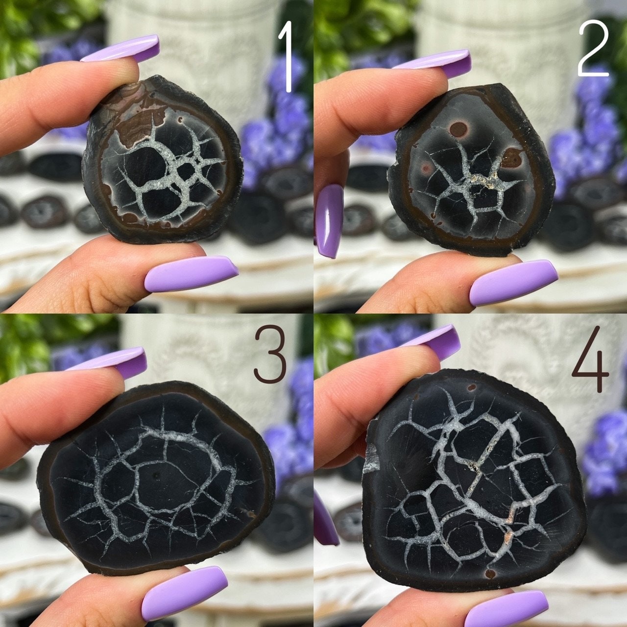 Septarian Nodules with Pyrite