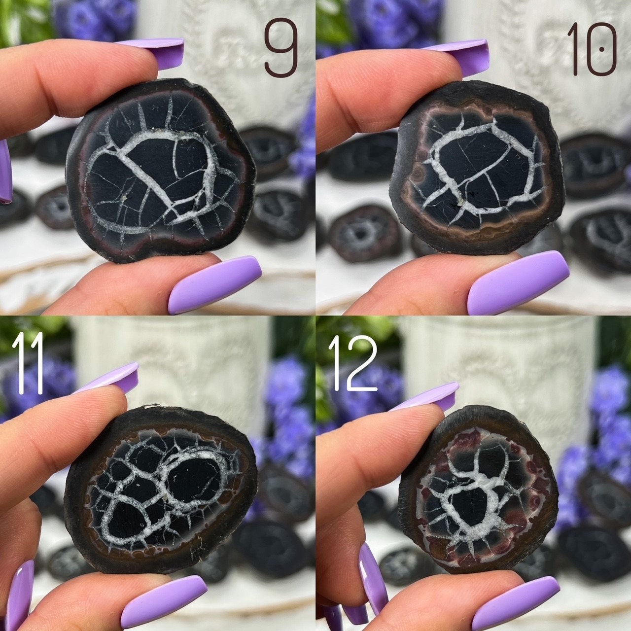 Septarian Nodules with Pyrite