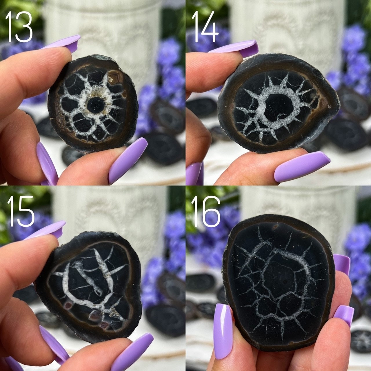 Septarian Nodules with Pyrite