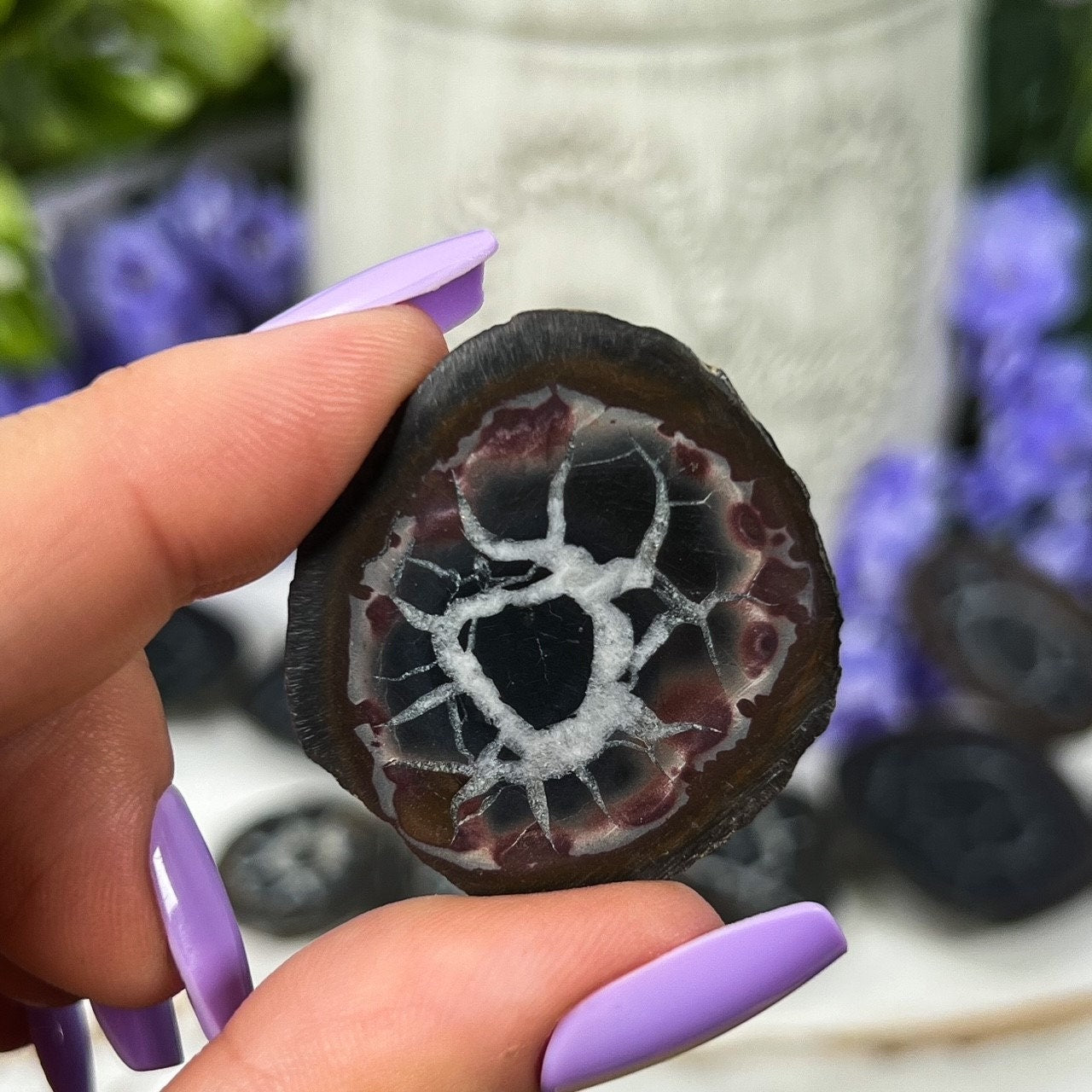Septarian Nodules with Pyrite