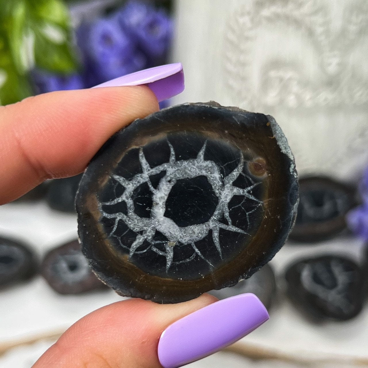 Septarian Nodules with Pyrite