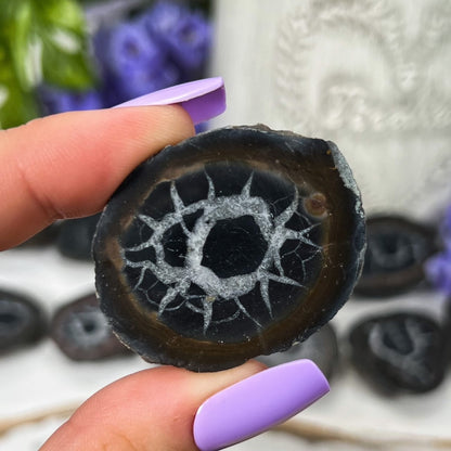 Septarian Nodules with Pyrite