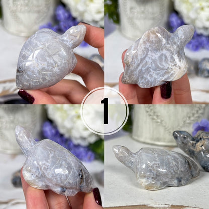 Dendritic Agate Sea Turtles