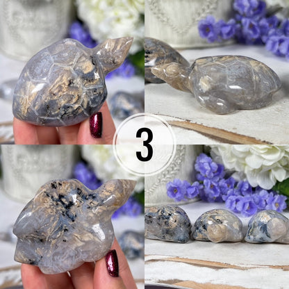 Dendritic Agate Sea Turtles