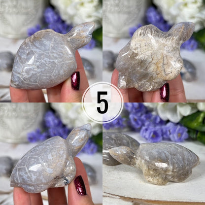 Dendritic Agate Sea Turtles
