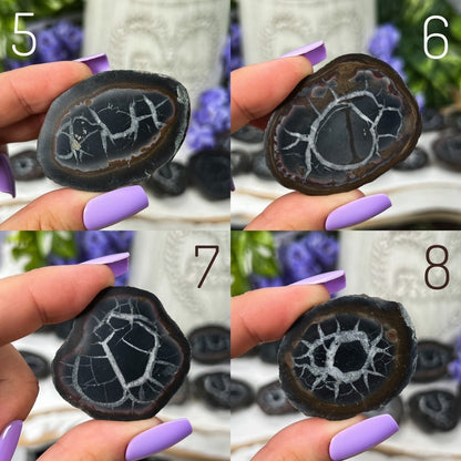Septarian Nodules with Pyrite