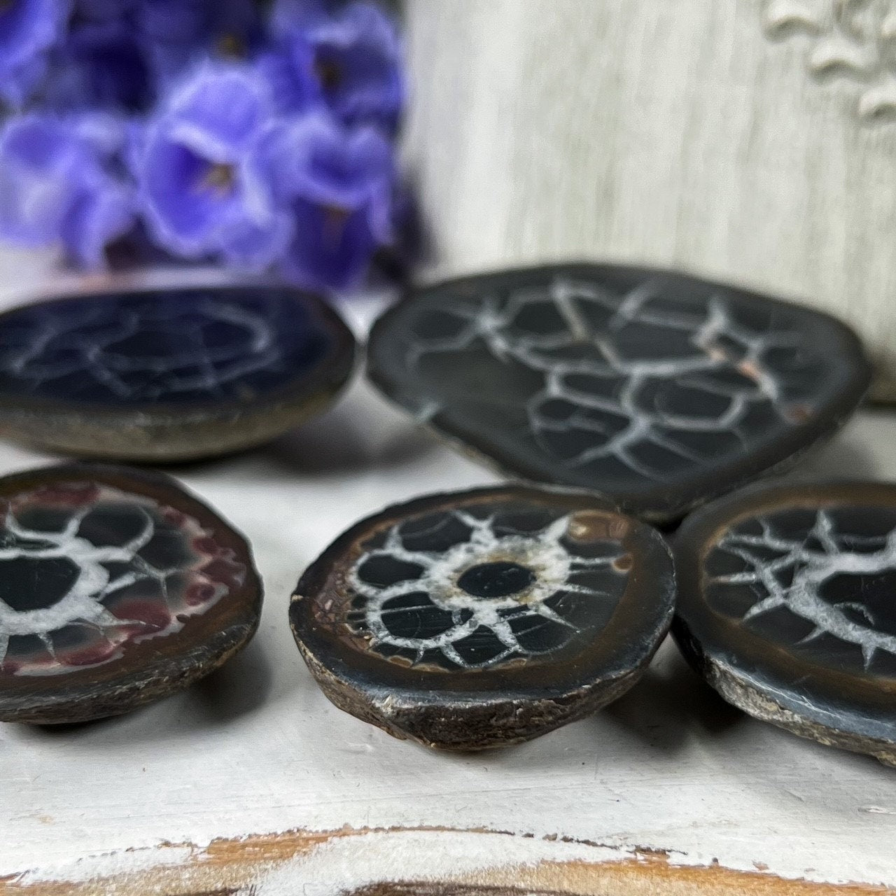 Septarian Nodules with Pyrite