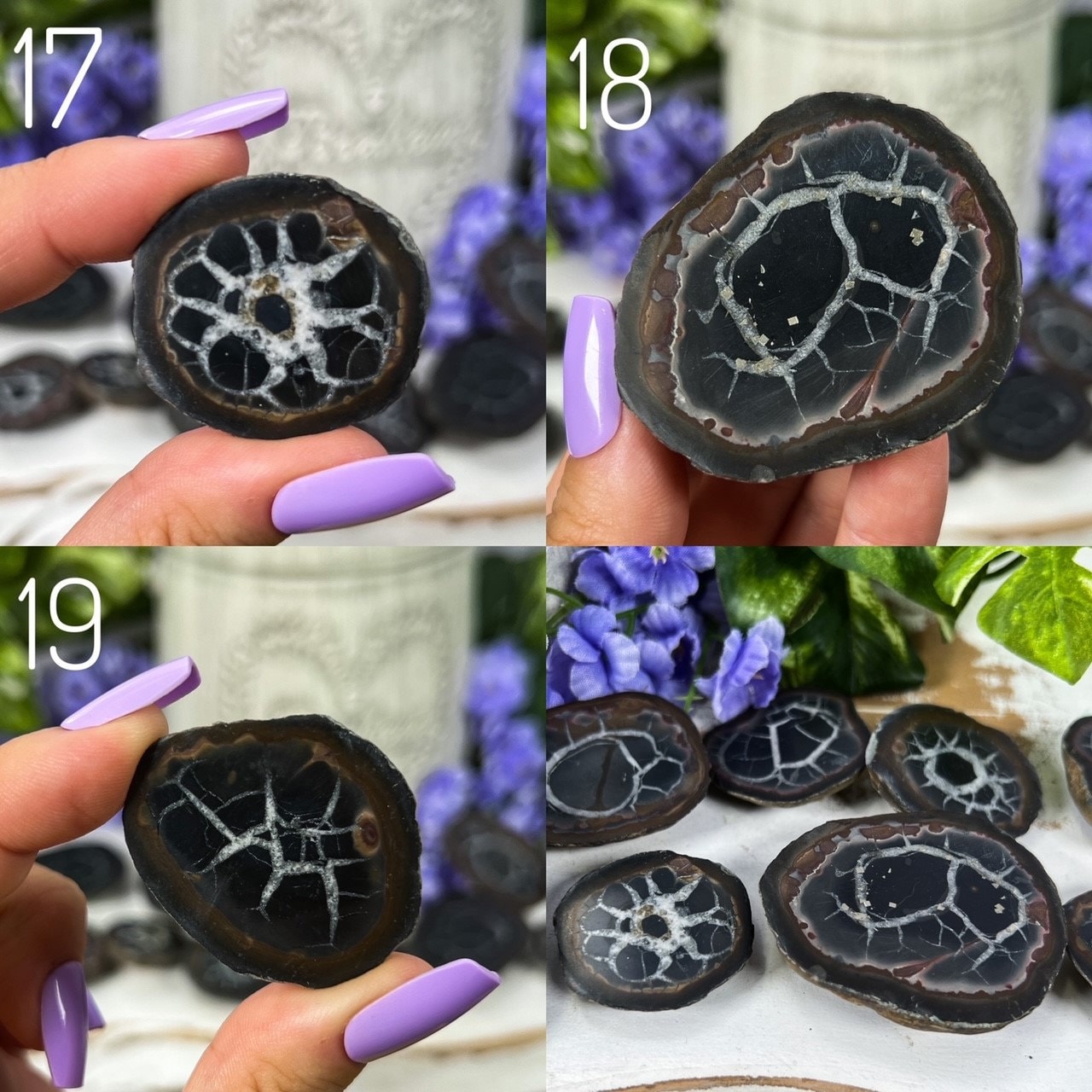 Septarian Nodules with Pyrite