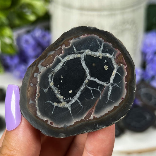 Septarian Nodules with Pyrite