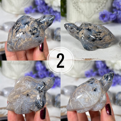 Dendritic Agate Sea Turtles