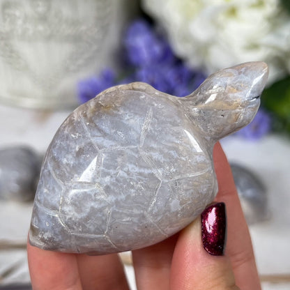 Dendritic Agate Sea Turtles