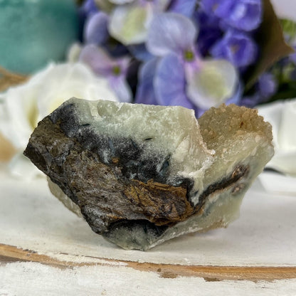 Glittery Quartz Jasper Eye