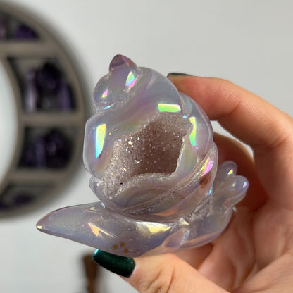 Rainbow Aura Druzy Agate Snail