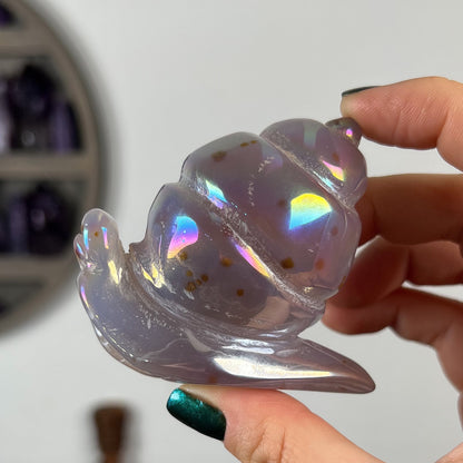 Rainbow Aura Druzy Agate Snail