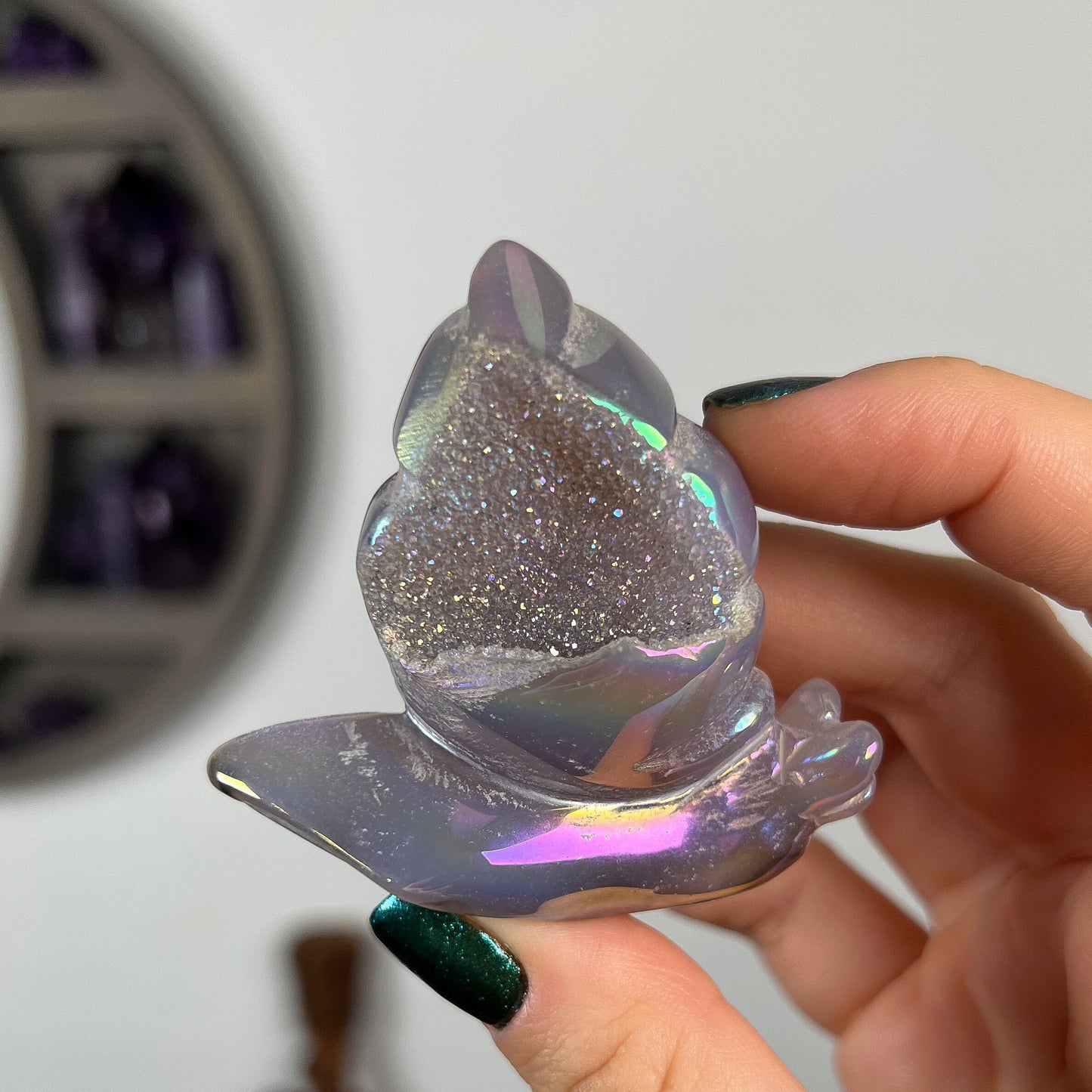 Rainbow Aura Druzy Agate Snail
