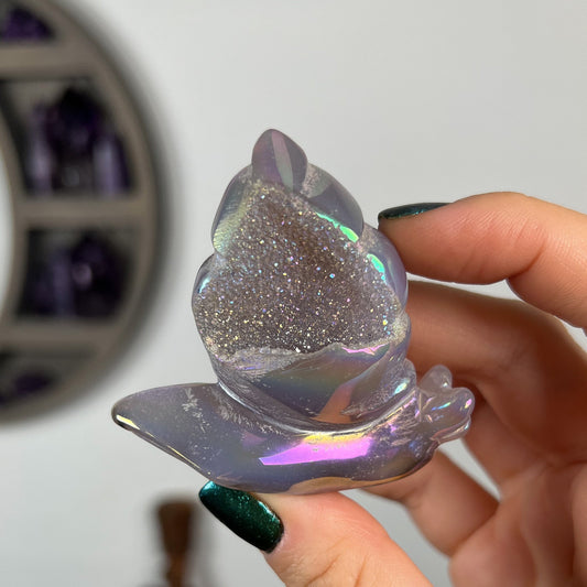 Rainbow Aura Druzy Agate Snail