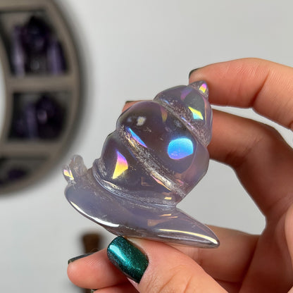 Rainbow Aura Druzy Agate Snail