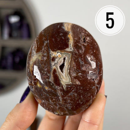 Crazy Lace Agate Palm Stones
