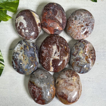 Crazy Lace Agate Palm Stones