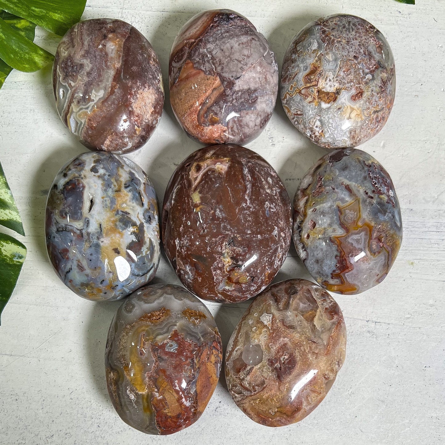 Crazy Lace Agate Palm Stones