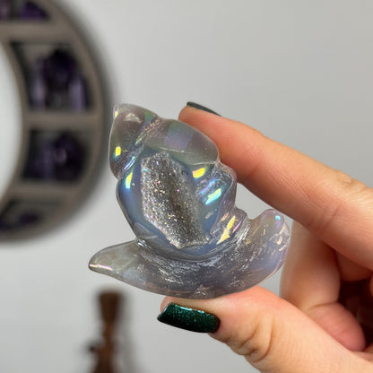 Rainbow Aura Druzy Agate Snail