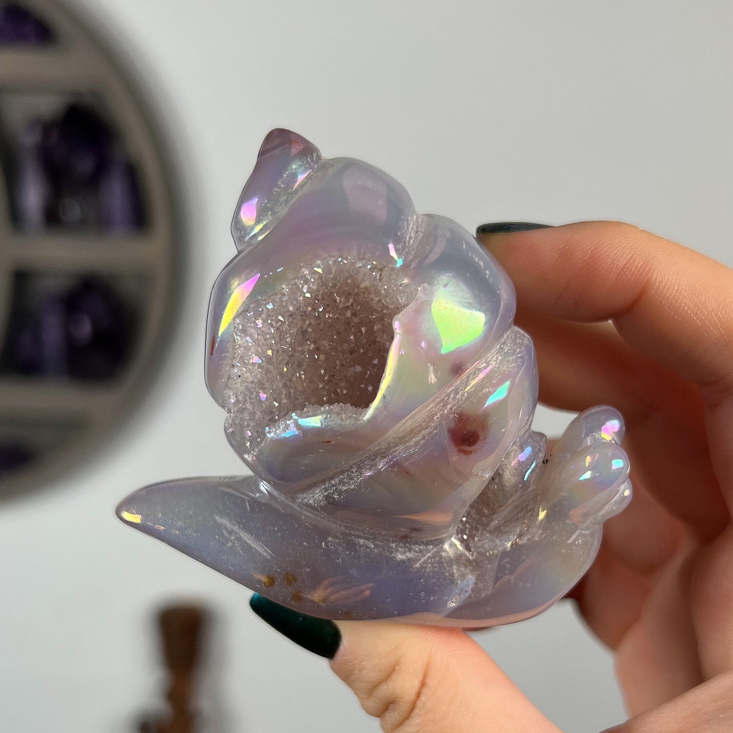 Rainbow Aura Druzy Agate Snail