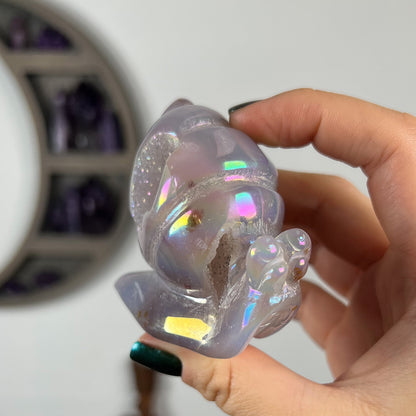 Rainbow Aura Druzy Agate Snail