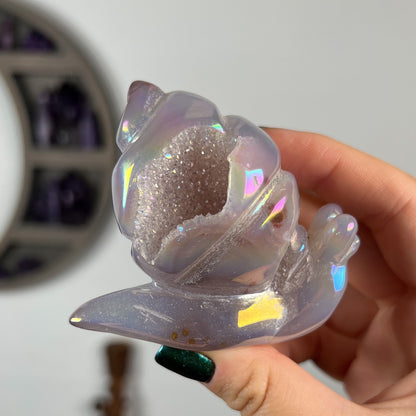Rainbow Aura Druzy Agate Snail