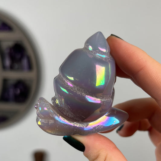 Rainbow Aura Druzy Agate Snail