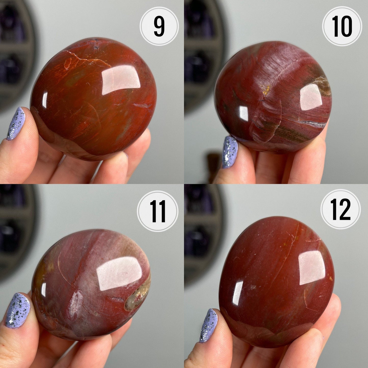 Petrified Wood Quartz Palm Stones