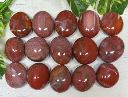 Petrified Wood Quartz Palm Stones