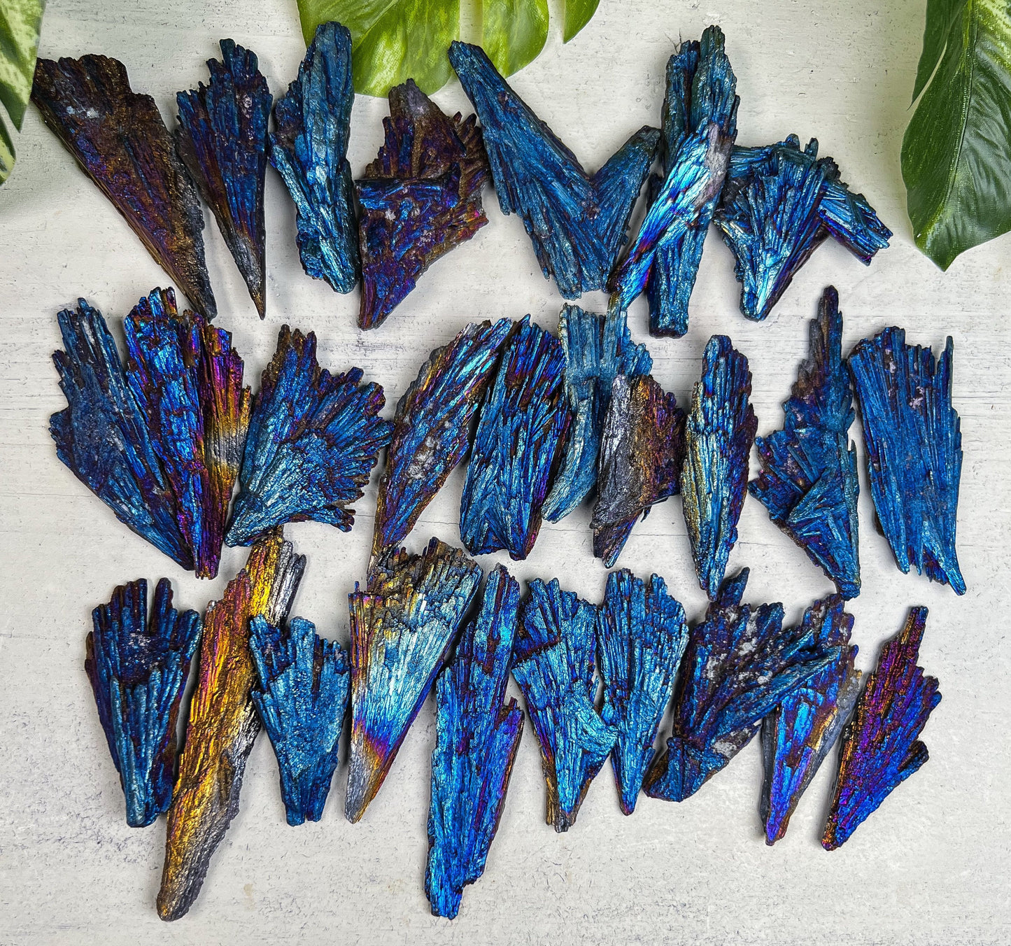 Titanium Aura Kyanite Blades