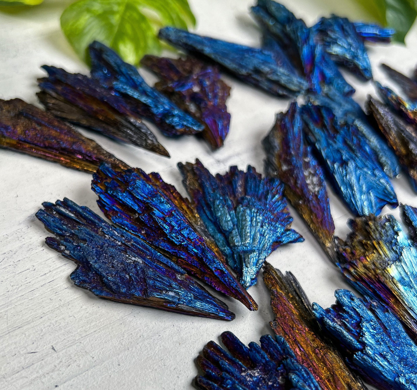Titanium Aura Kyanite Blades