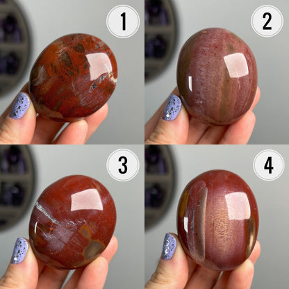 Petrified Wood Quartz Palm Stones