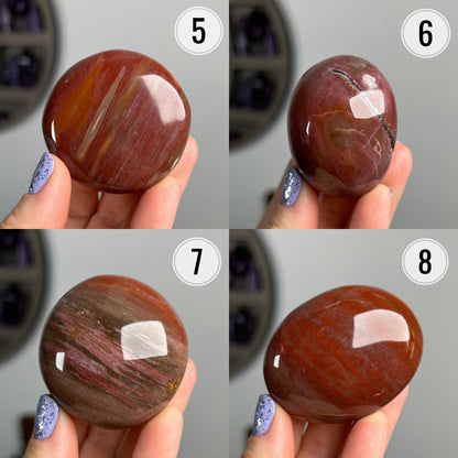 Petrified Wood Quartz Palm Stones