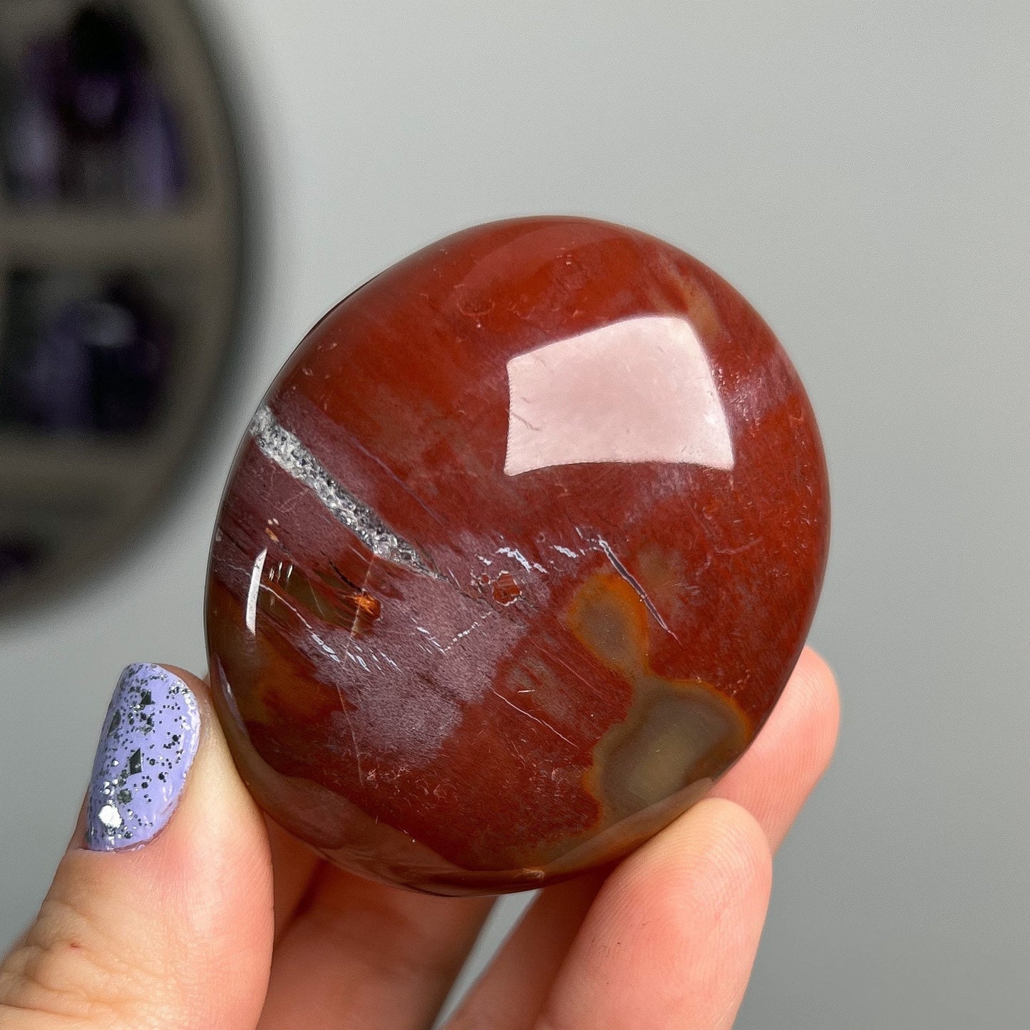 Petrified Wood Quartz Palm Stones