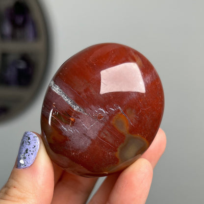 Petrified Wood Quartz Palm Stones