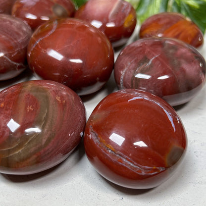 Petrified Wood Quartz Palm Stones